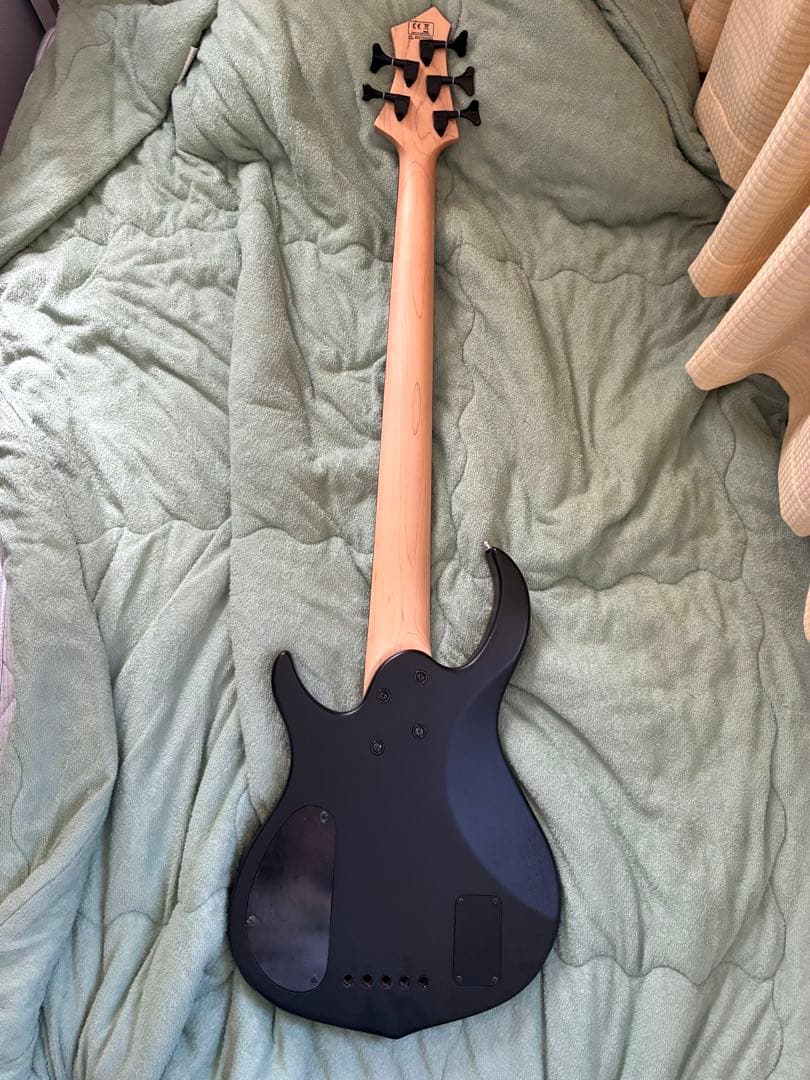 Sire m2-5st 純正ギグケース　値下げ交渉応じます