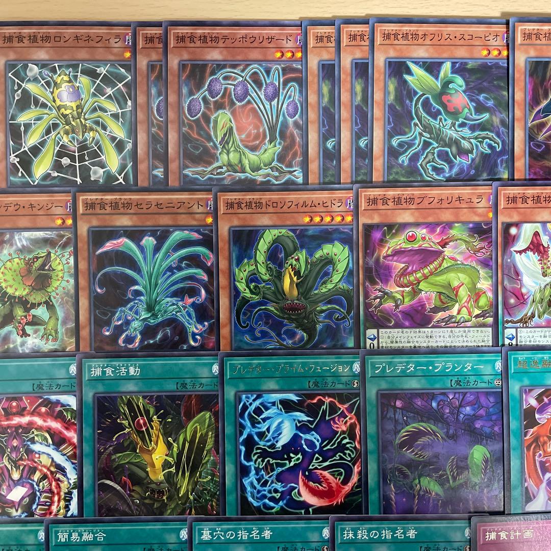 本格構築 捕食植物デッキ プレデタープランツデッキ 血樹竜姫