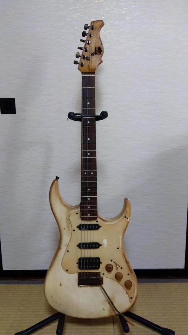 AXL Guitars Badwater SRO アクセルギターズ - メルカリ