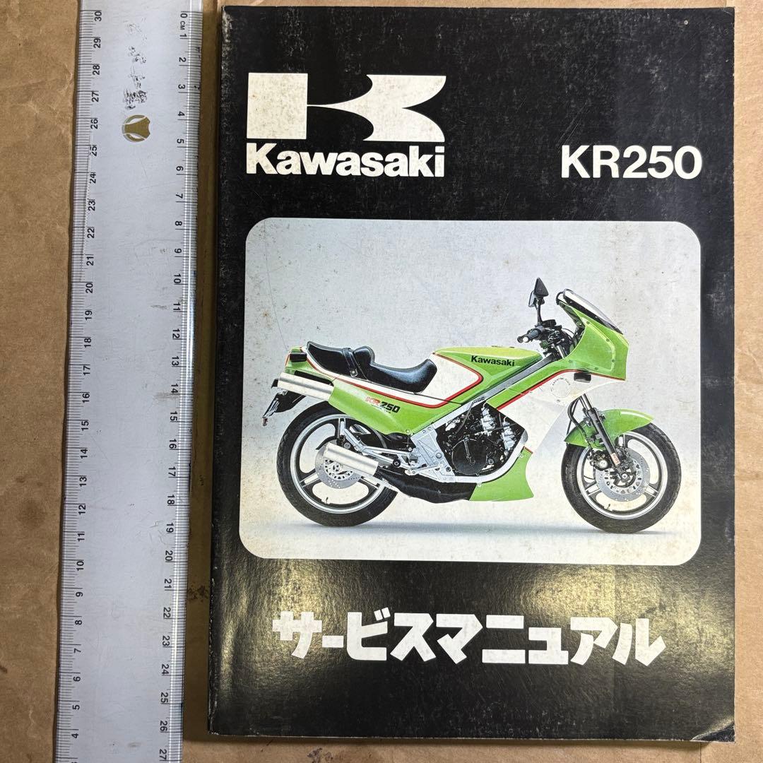 Kawasaki KR250 サービスマニュアル Kawasaki Ninja ZX-7R & ZX-9R (1994-2004) Haynes Repair Manual