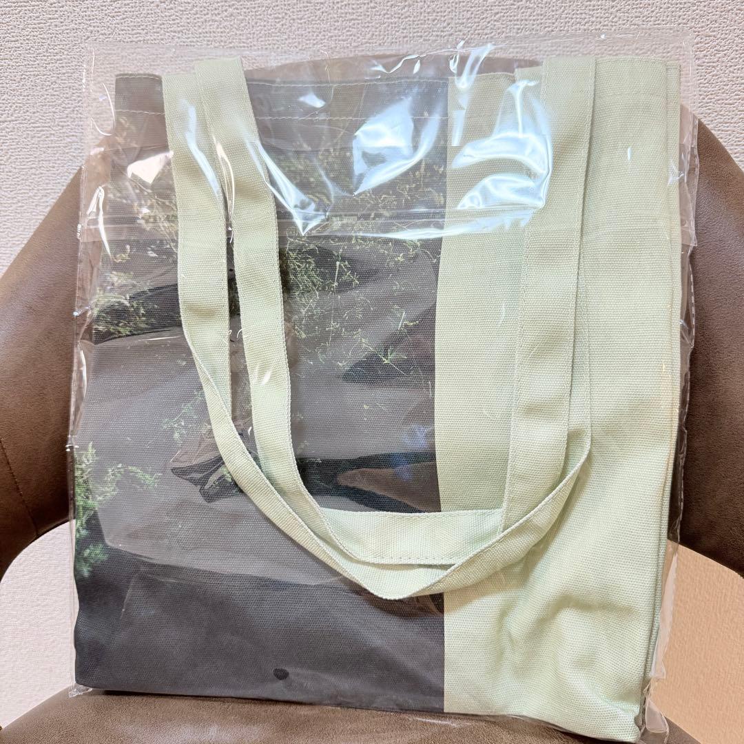 新品】JENNIE 写真展 トートバッグ グリーン BLACKPINK ジェニ - メルカリ