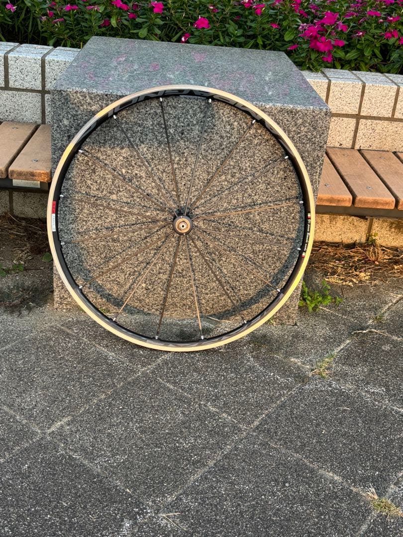 Campagnolo SHAMAL ULTRA C15（2WAY仕様)