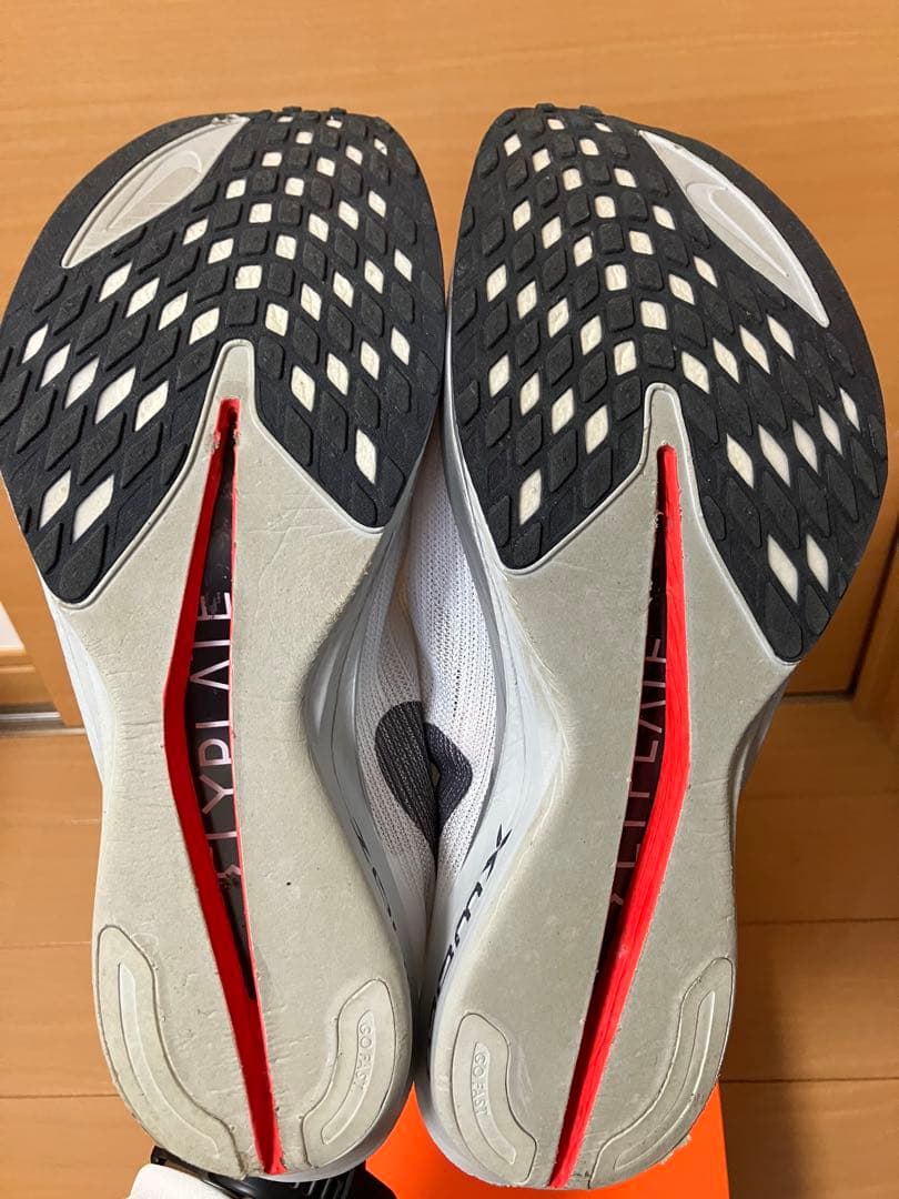 NIKE ストリークフライ2 27.5cm