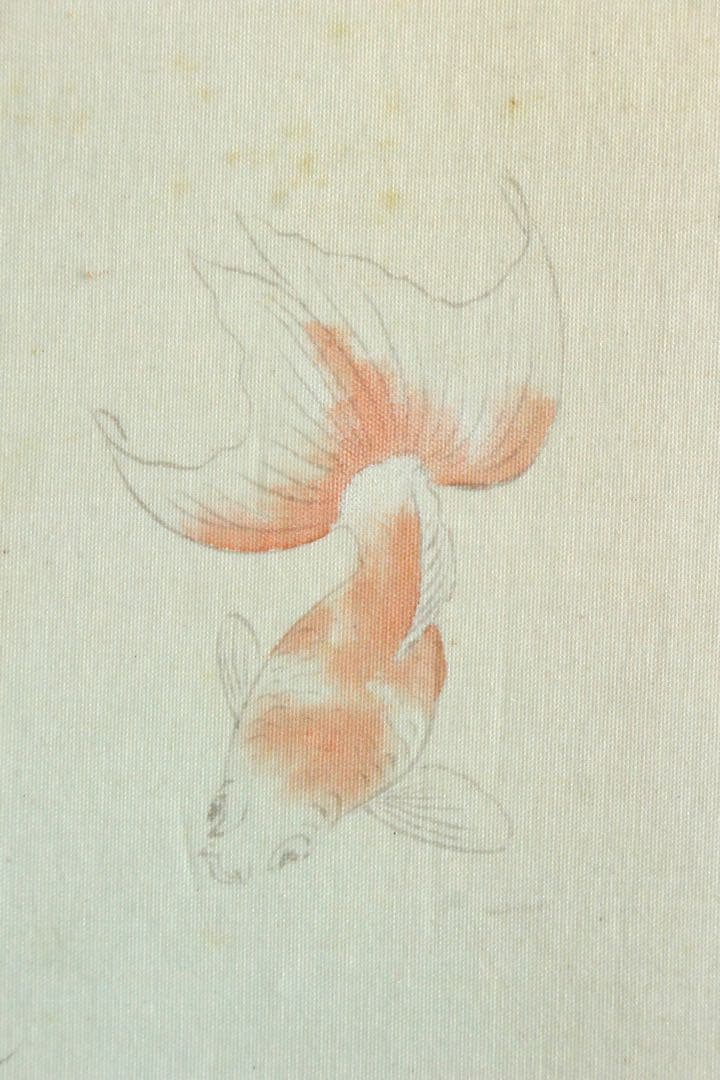 No4943 額装 山本龍洞 遊金魚図 絹本着色 真作 日本画 古美術 送料無料