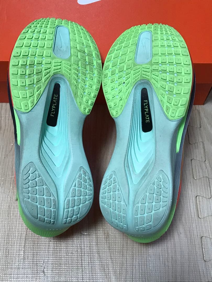 Nike Zoom Fly 6 ナイキズームフライ 6 25.5cm