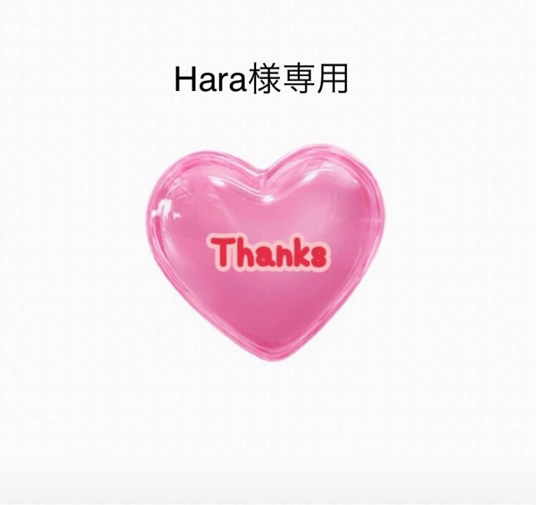 Hara 2月28日到着　バルーンブーケ Hara様専用 2月28日到着 バルーンブーケ
