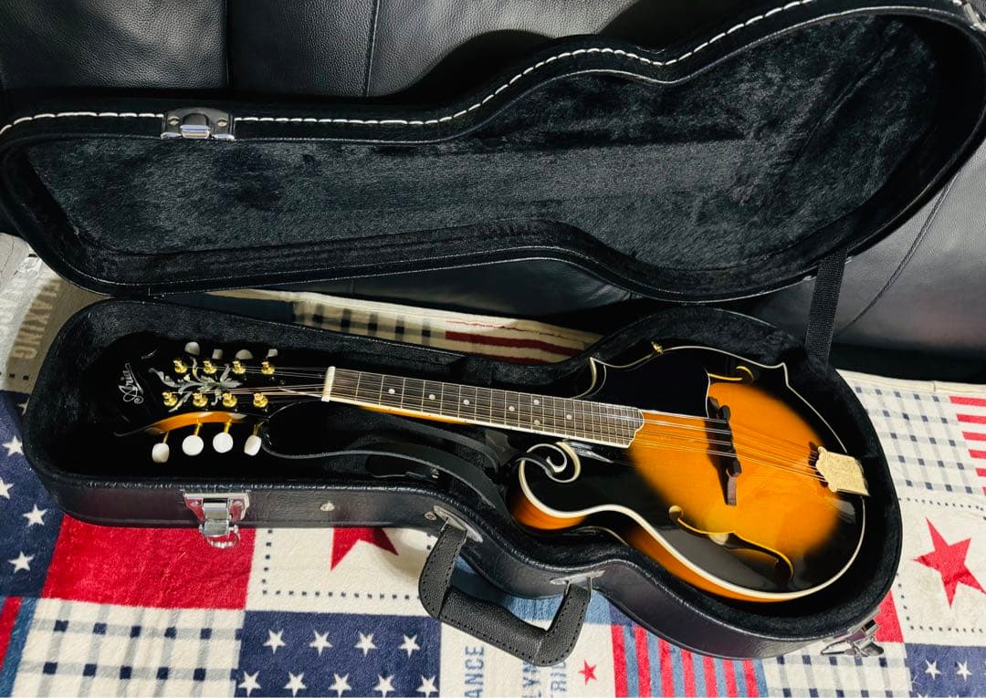 ARIA アリア スラットマンドリン Fタイプ サンバーストAM-40 ケース付