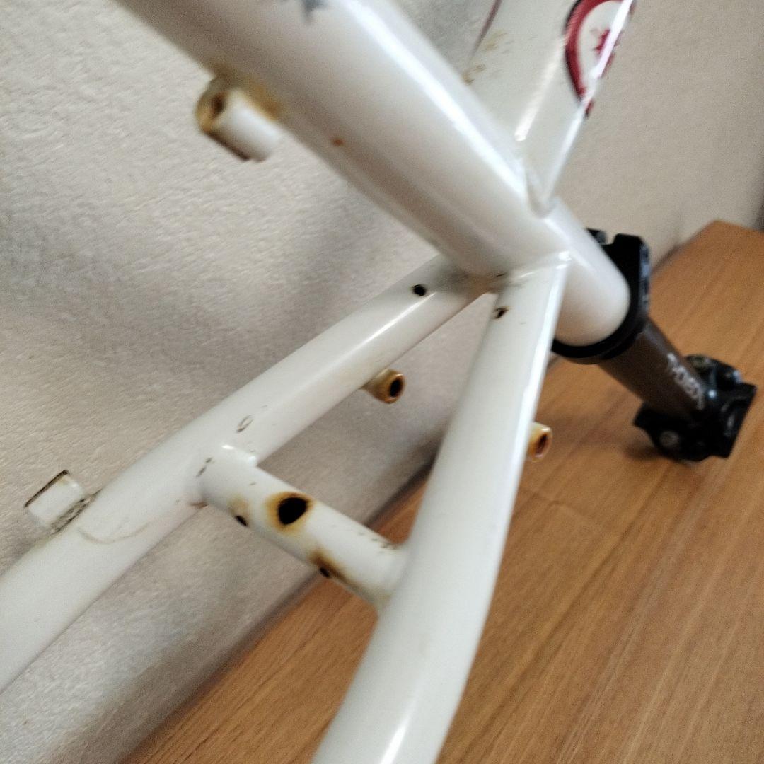 く*ー様 ROCKY MOUNTAIN BLIZZARD MTBフレーム 電蝕ジ