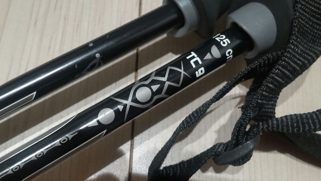 SWIX スウィックス 125cm Carbon Plus TC9 - メルカリ