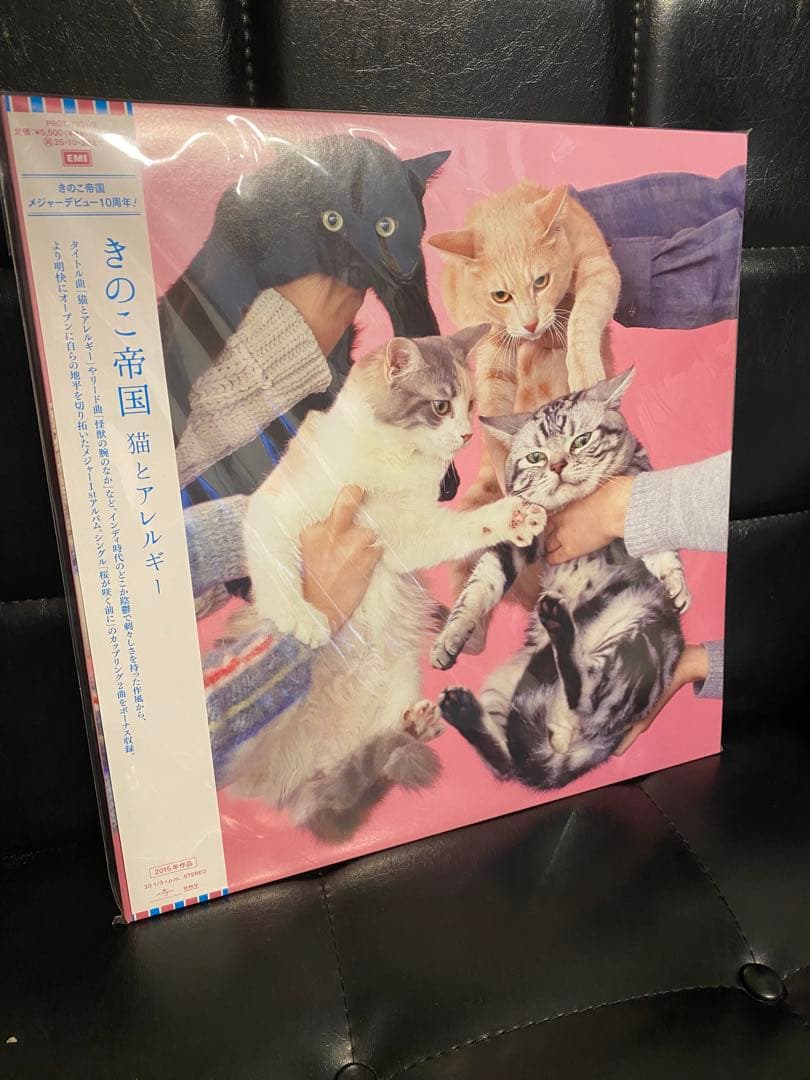 新品⭐︎きのこ帝国 猫とアレルギー アナログ LP レコード 猫とアレルギー【2025 レコードの日 限定盤】(クリアピンク