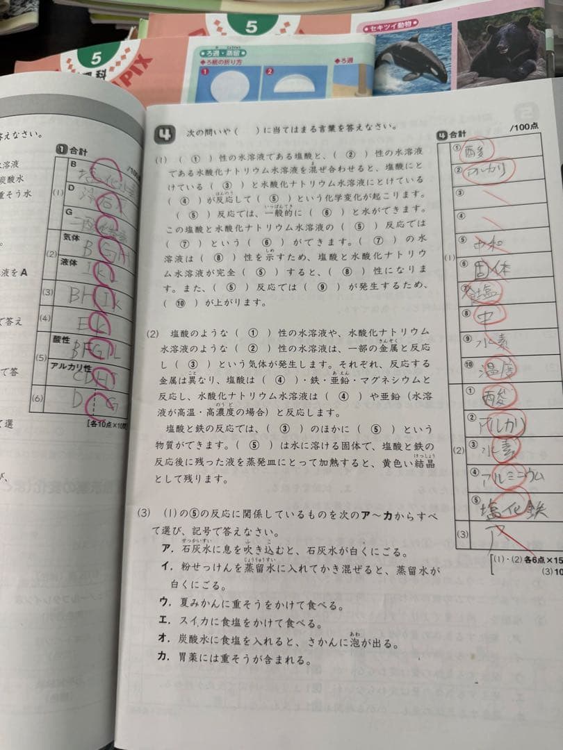 サピックスsapix5年 理科と社会 フルセット98冊 2022年版 一部未記入