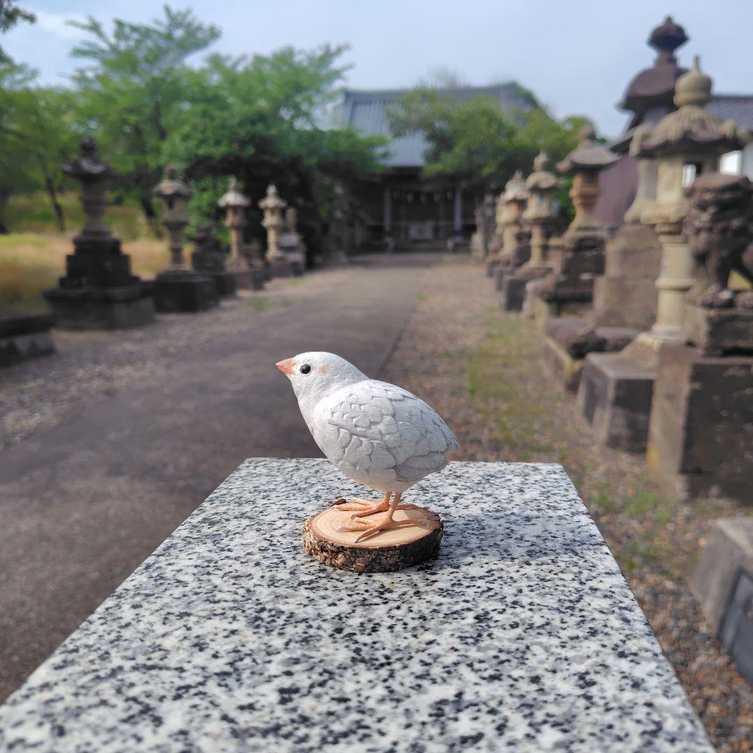 小さなバードカービング ヒメウズラ 小鳥 木彫 - メルカリ