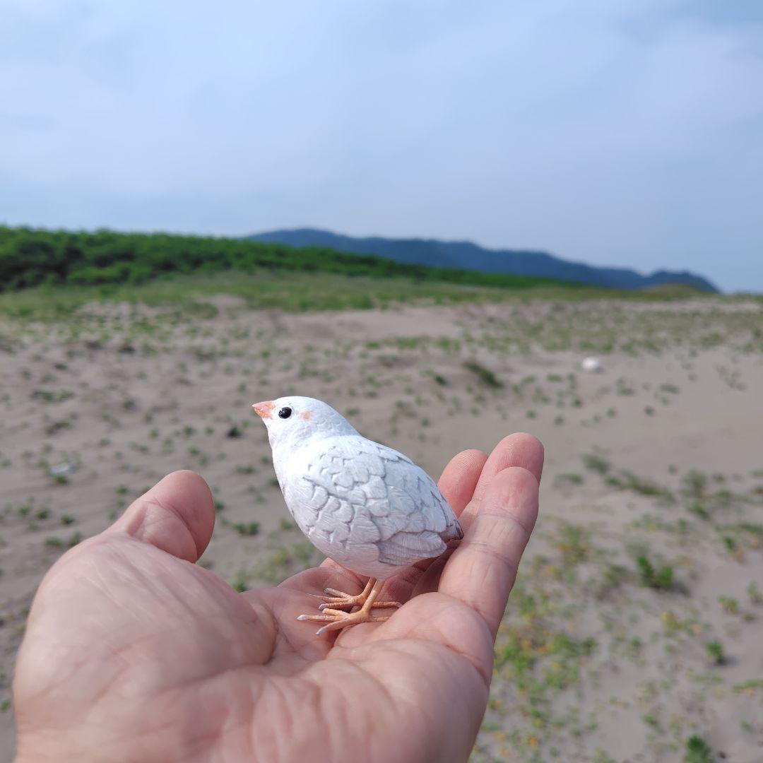 小さなバードカービング ヒメウズラ 小鳥 木彫 - メルカリ