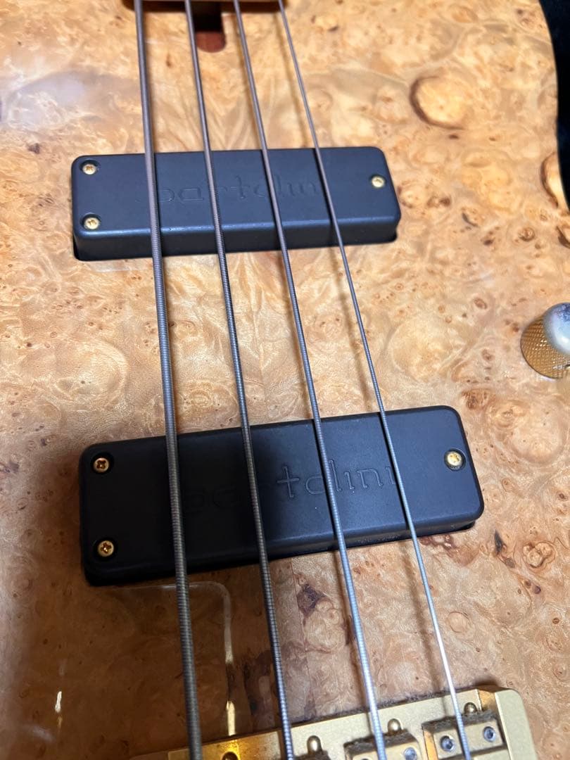 熊様専用SCHECTER PW-EX-B-BL/FL - メルカリ