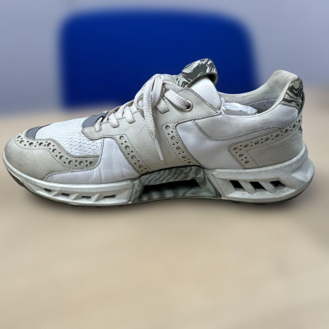 【限定希少品】 ecco ゴルフシューズ　27.5cm