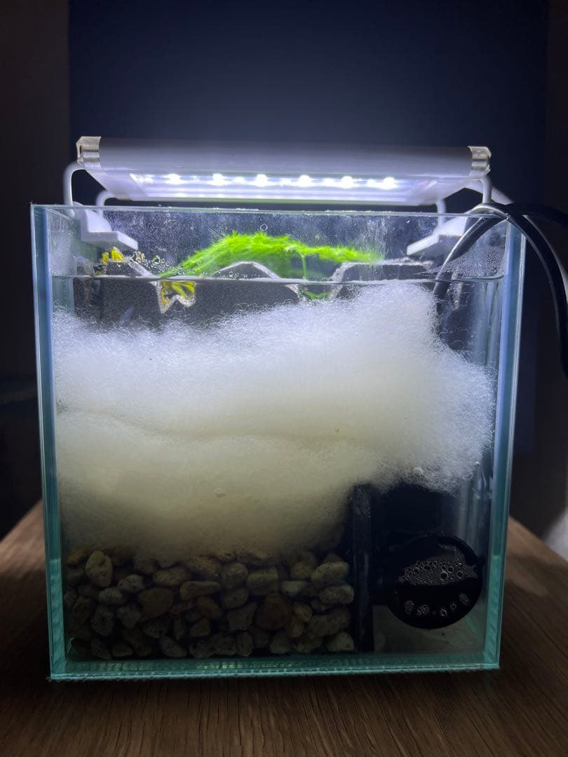 滝の流れるアクアテラリウム 15cmキューブ水槽 - メルカリ