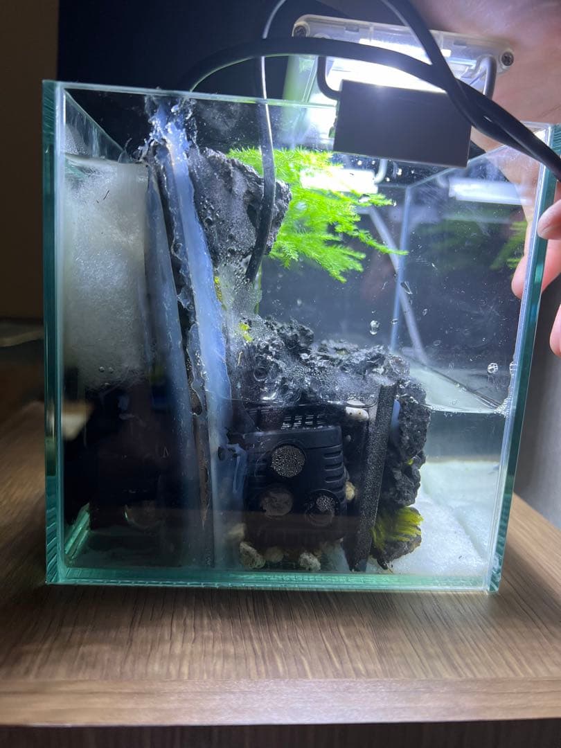 滝の流れるアクアテラリウム 15cmキューブ水槽 - メルカリ