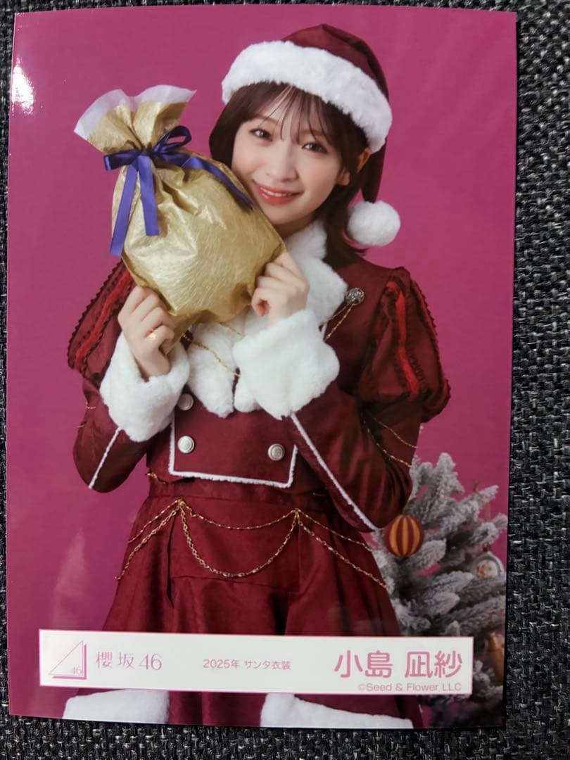 櫻坂46 小島凪紗 生写真 2025年サンタ衣装 - メルカリ