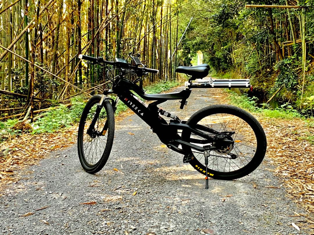 USA Nireeka Homie Carbon 500w eMTB - メルカリ