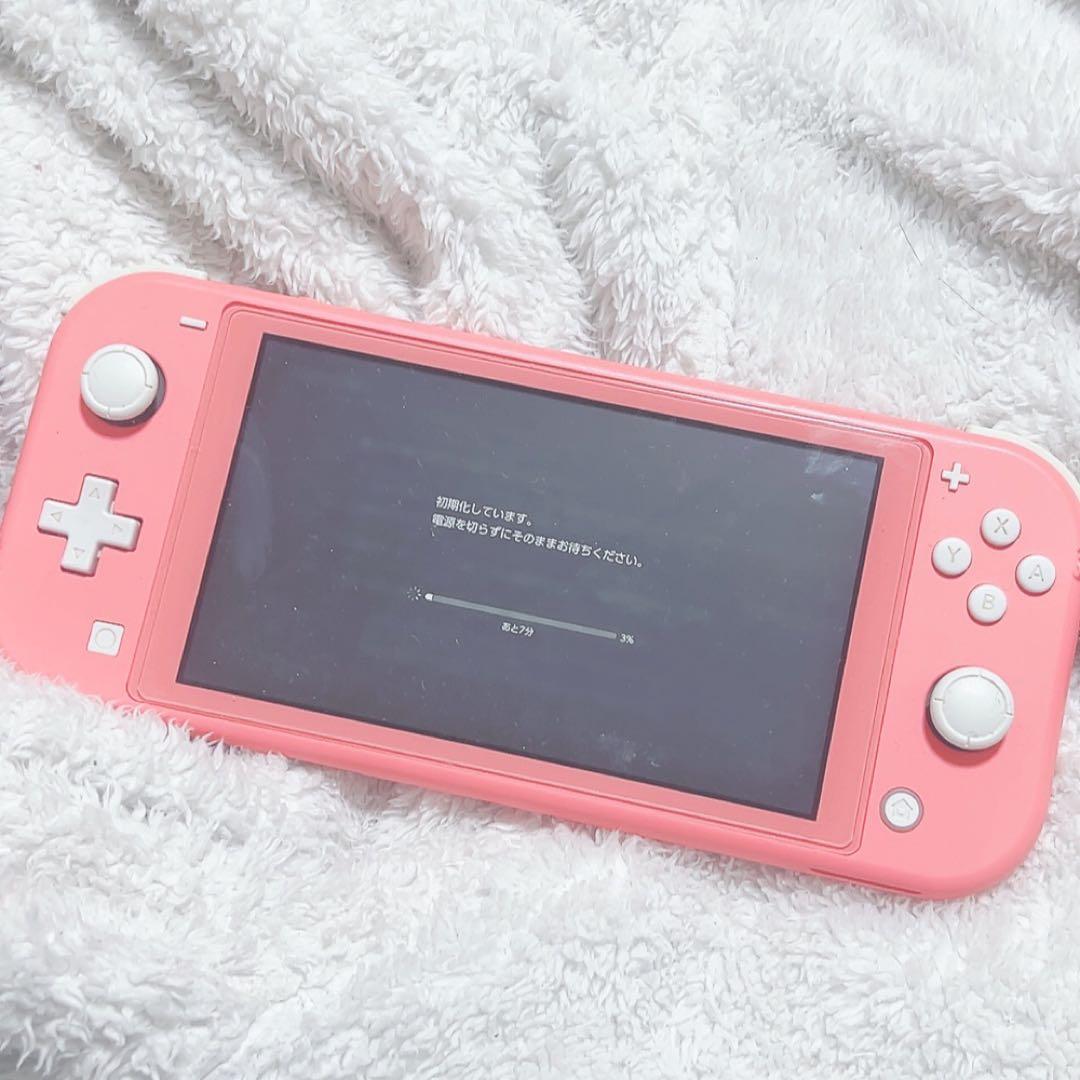 任天堂Switch Light switch ライト グレー Switch lite グレー SwitchLight グレー