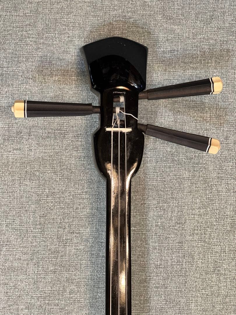 495＊三線 練習用 和楽器 沖縄三線 蛇柄 ケース付き 蛇皮では