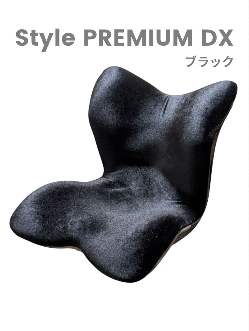 Style PREMIUM DX ブラック Style（スタイル） ○ポイント10倍！○ 公式ストア スタイルプレミアム