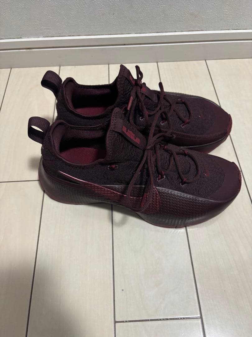 新品未使用❗️NIKE LEBRON TR1ナイキ レブロン TR1 27.5cm