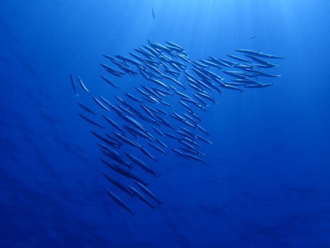 専用まとめ トリックスター / Ninja250/400(18-24) Z250/Z400(19-24)ラジエター