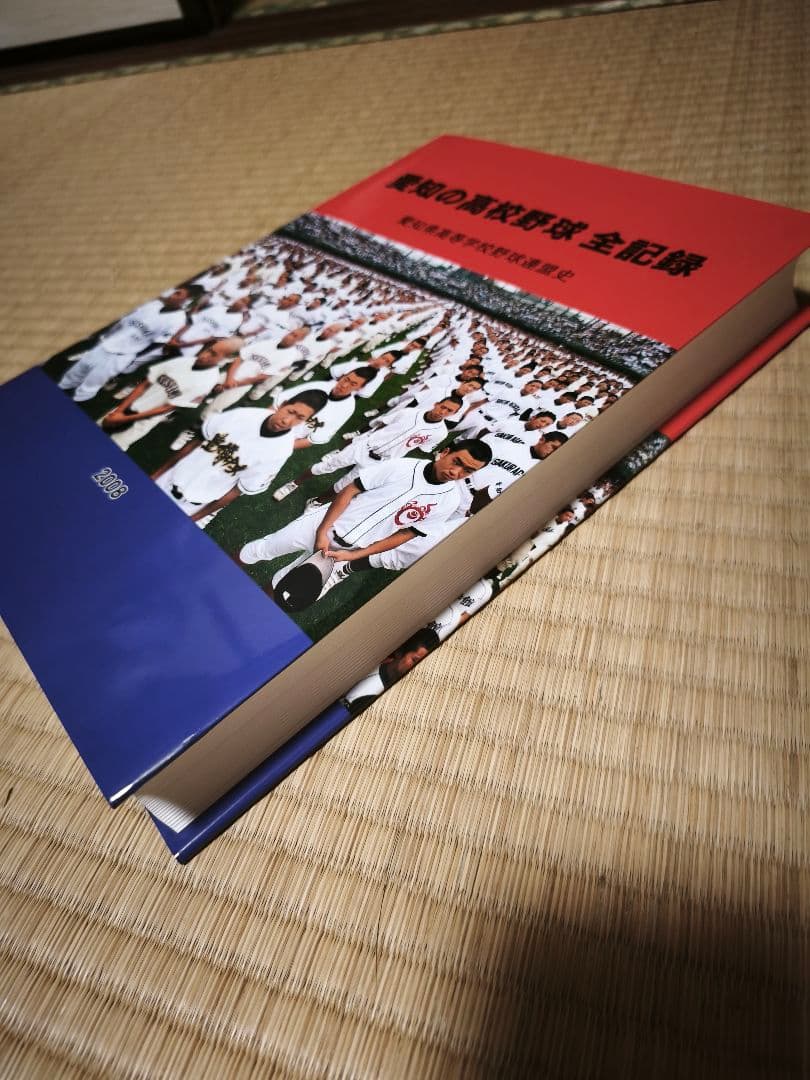 愛知の高校野球 全記録 2008 | 激安通販のイーサプライ