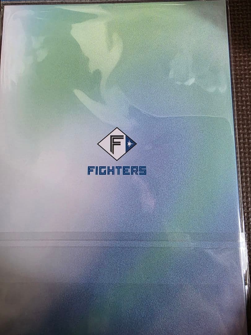 FIGHTERS GIRL シーズンフォトブック　受注生産　現在入手不可