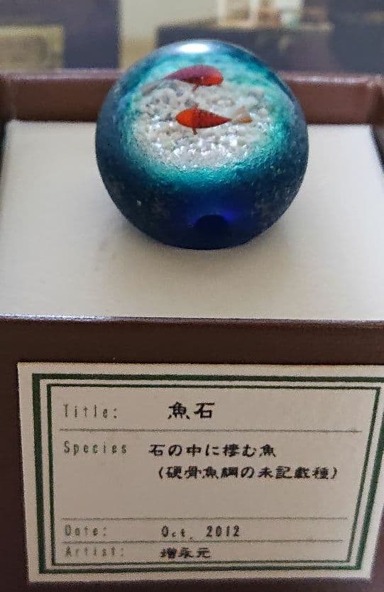 増永元 𝖦𝗅𝖺𝗌𝗌 𝖠𝗋𝗍𝗂𝗌𝗍 (@masunaga_gen) / Posts / X 貴重