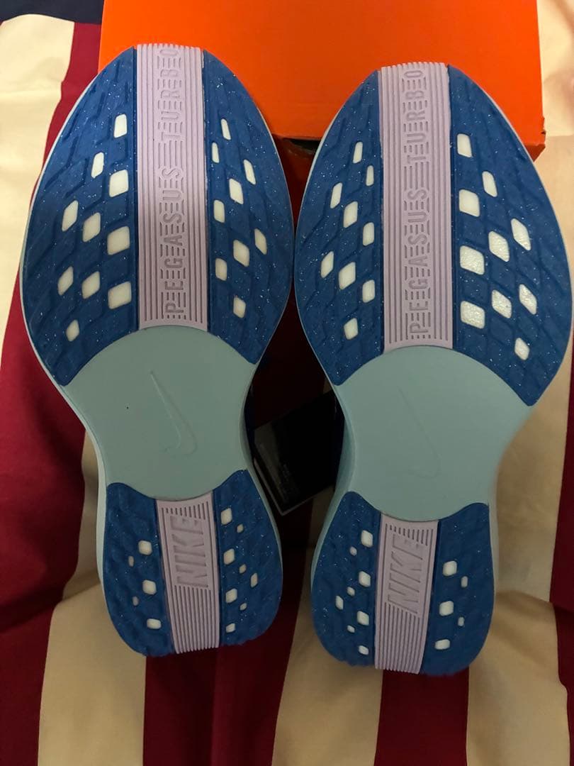 【新品】NIKE ナイキ　ペガサスプラス　青　29.0cm