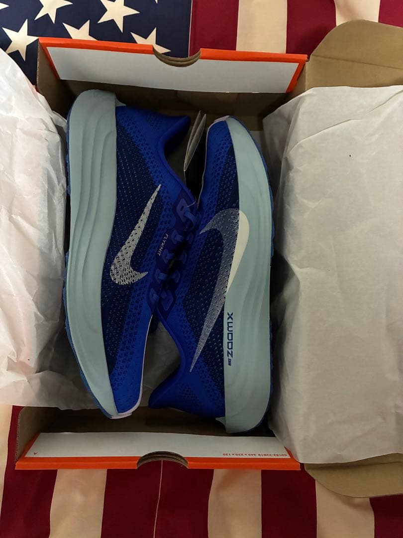 【新品】NIKE ナイキ　ペガサスプラス　青　29.0cm