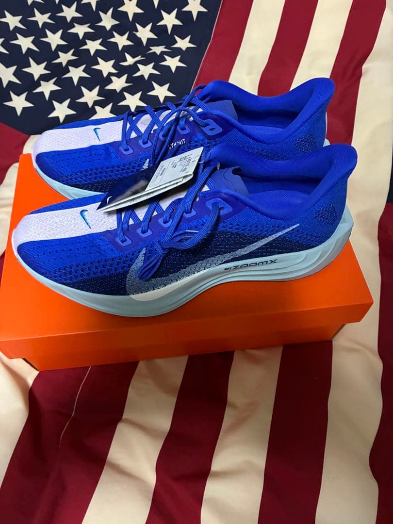 【新品】NIKE ナイキ　ペガサスプラス　青　29.0cm