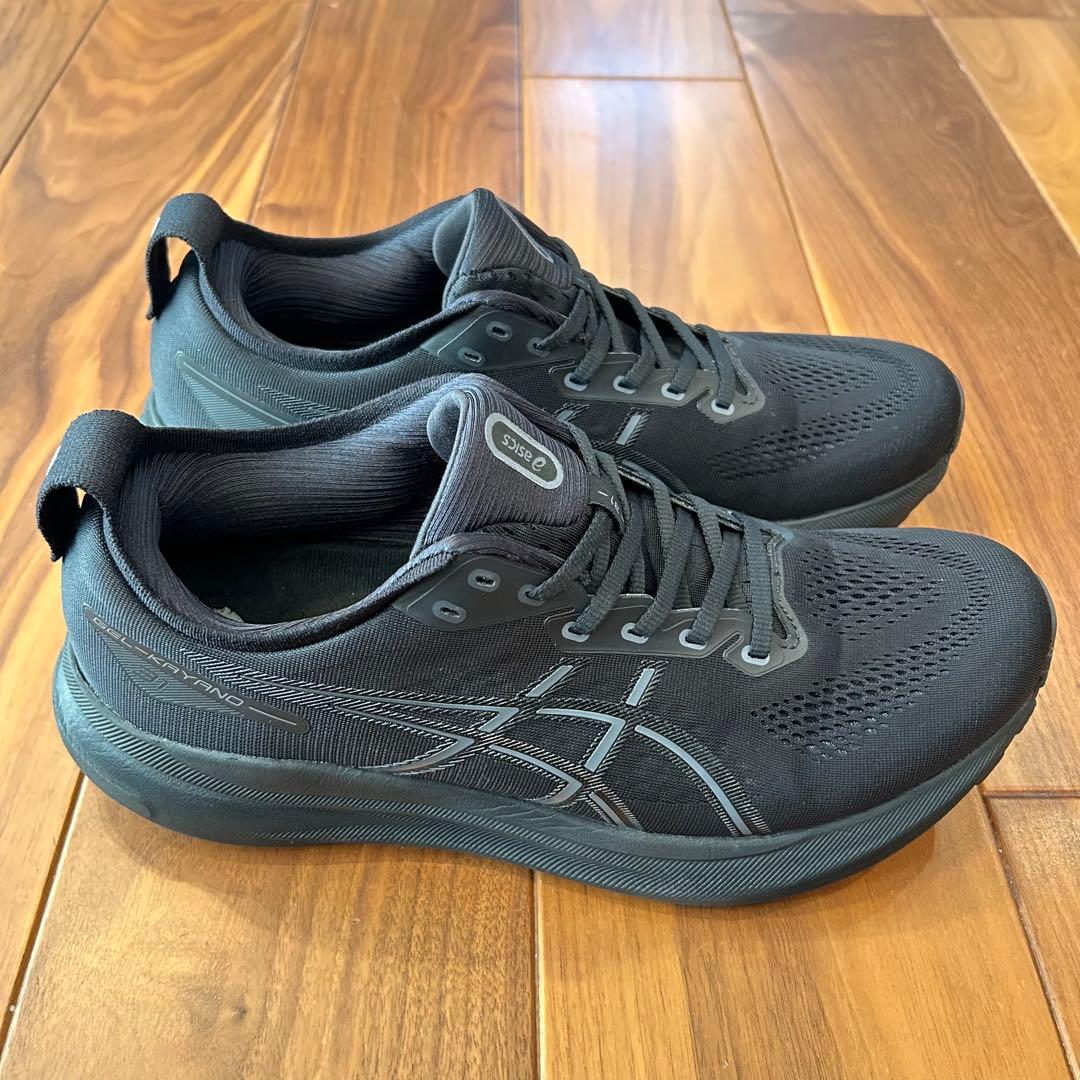 【美品】ASICS GEL KAYANO 31 ゲルカヤノ 28.5cm