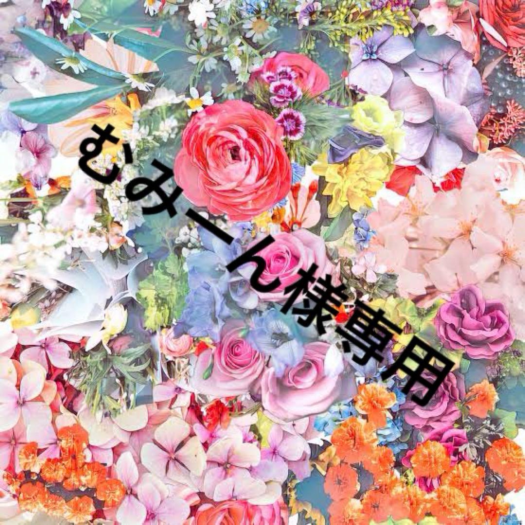 未開封品 クレドポーボーテ プードルコンパクトエサンシエル n 本体