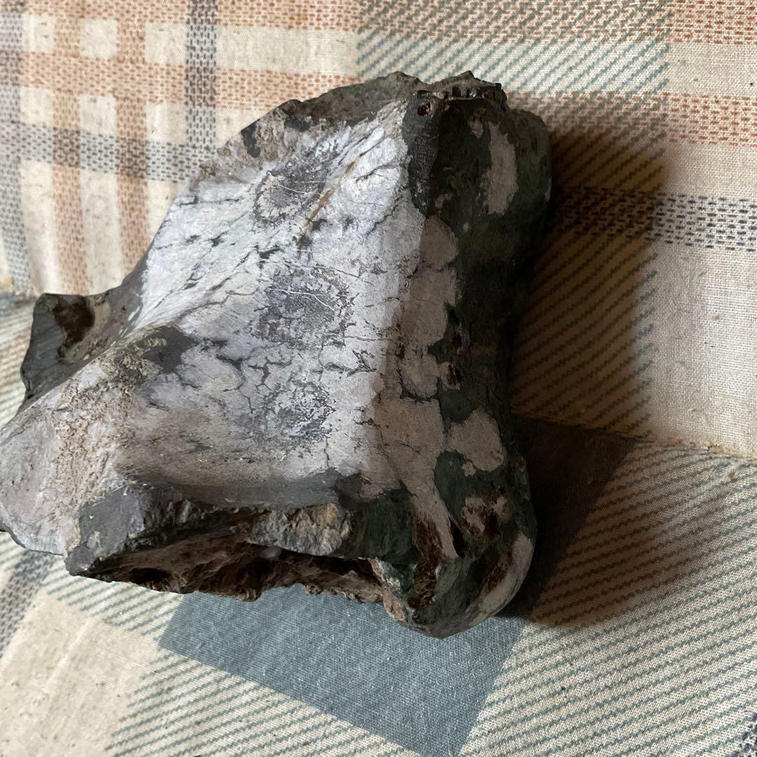 菊花石　根尾川産地物　台座無し　0.8kg 【産地物　極上美品　インテリアに】。