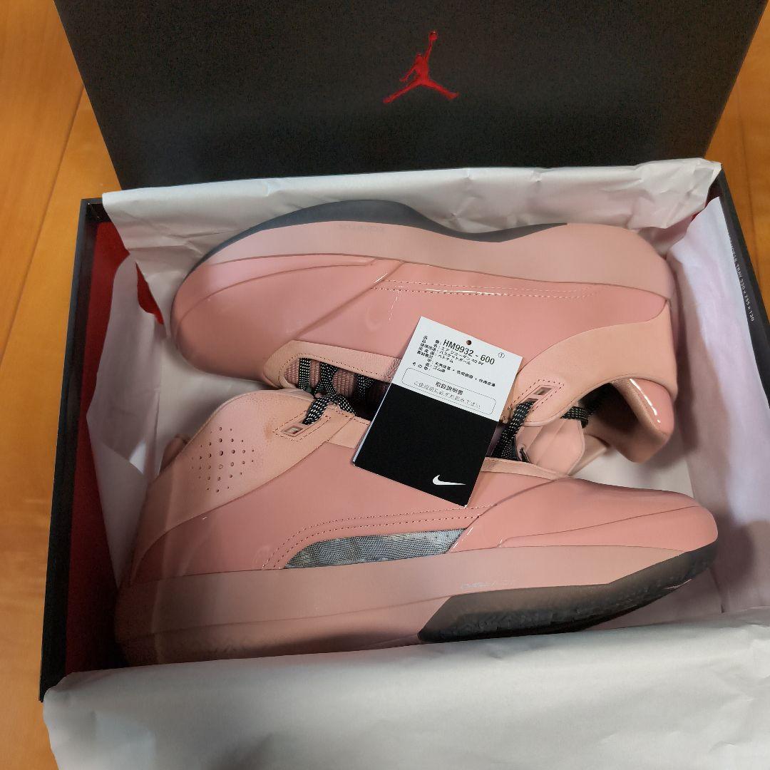 シューズ(男性用) AIR JORDAN 40 (28.0cm) Dusty Rose