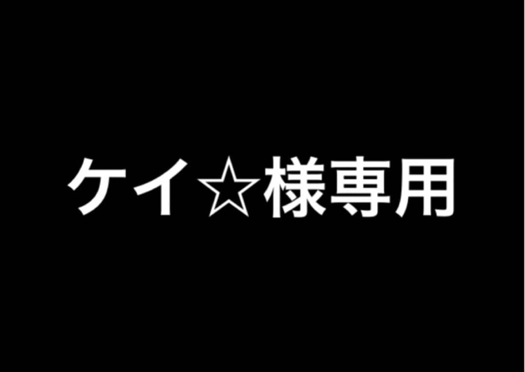 けいさん専用 ZXII プロテクター | ケンコー・トキナー