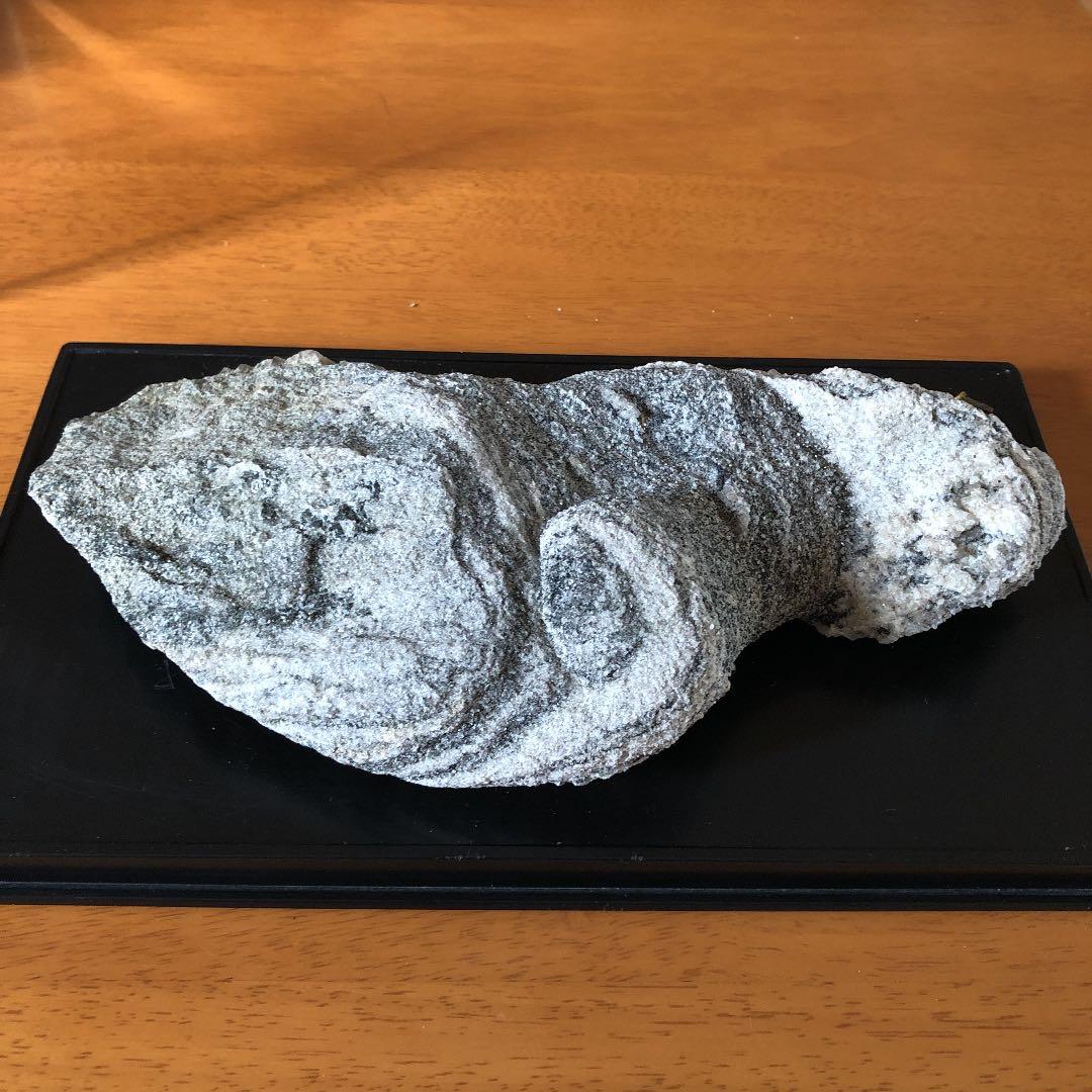 【希少】南極の石❣️値下げ¥62,000→¥60,000❣️