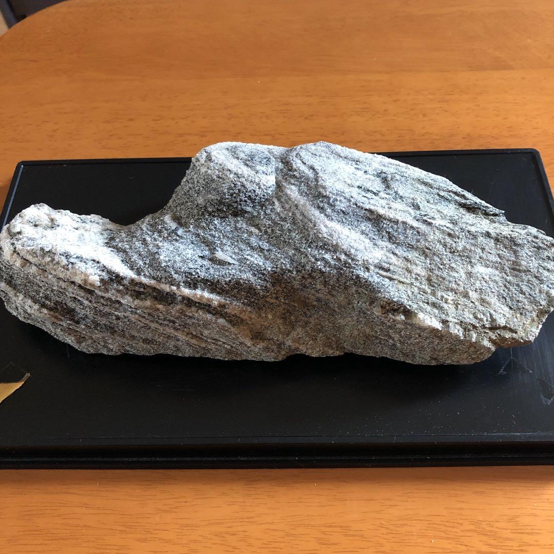 【希少】南極の石❣️値下げ¥62,000→¥60,000❣️