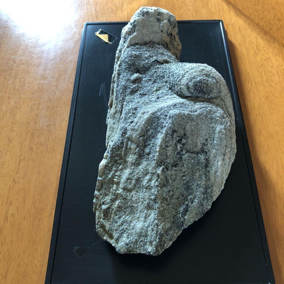 【希少】南極の石❣️値下げ¥62,000→¥60,000❣️