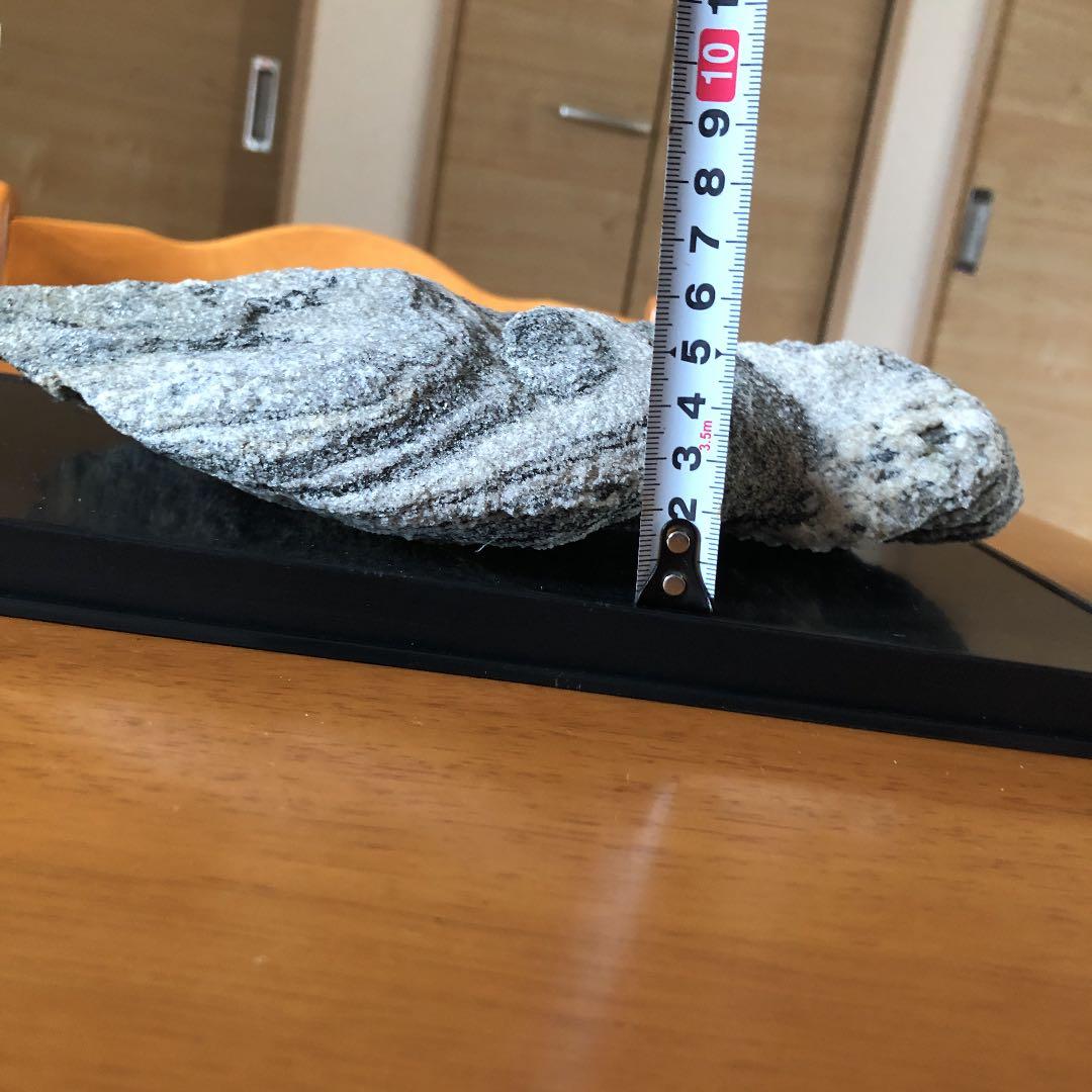 【希少】南極の石❣️値下げ¥62,000→¥60,000❣️