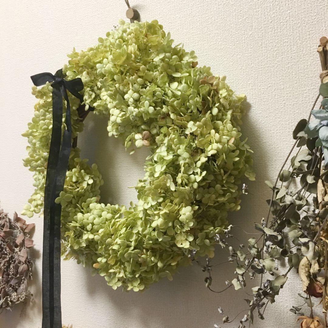ドライフラワーリース 紫陽花 アジサイアナベル 紫陽花リース アナベル
