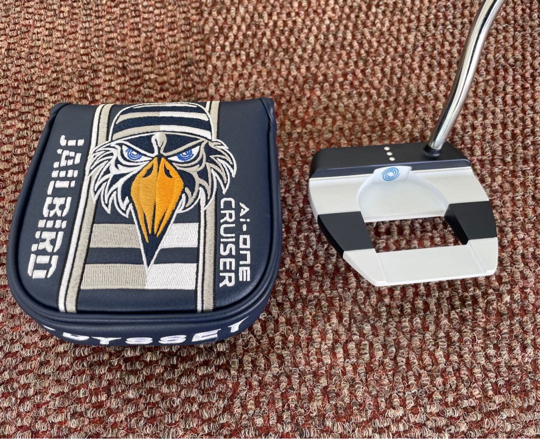 激レア‼️レフティ‼️左利き‼️新品同様‼️Ai-ONEクルーザージェイル