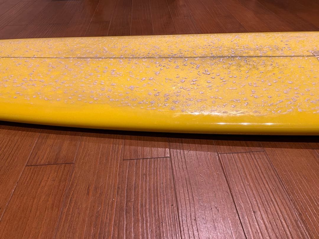 Pavel MONO サーフボード 6'10 【手渡し限定】ハル リッチパベル
