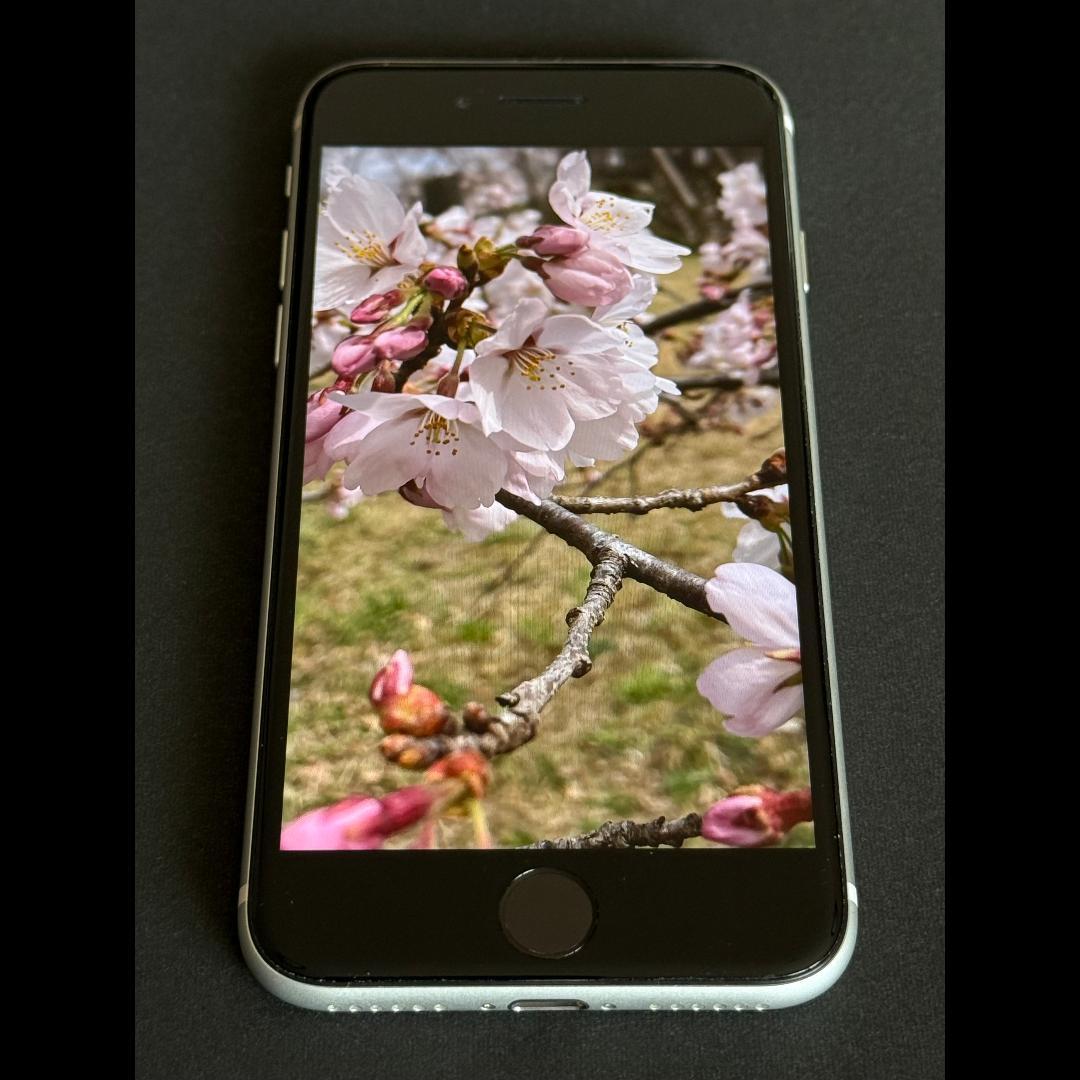 iPhone SE2（第2世代） ホワイト Apple iPhone SE (第2世代) 64GB SIM