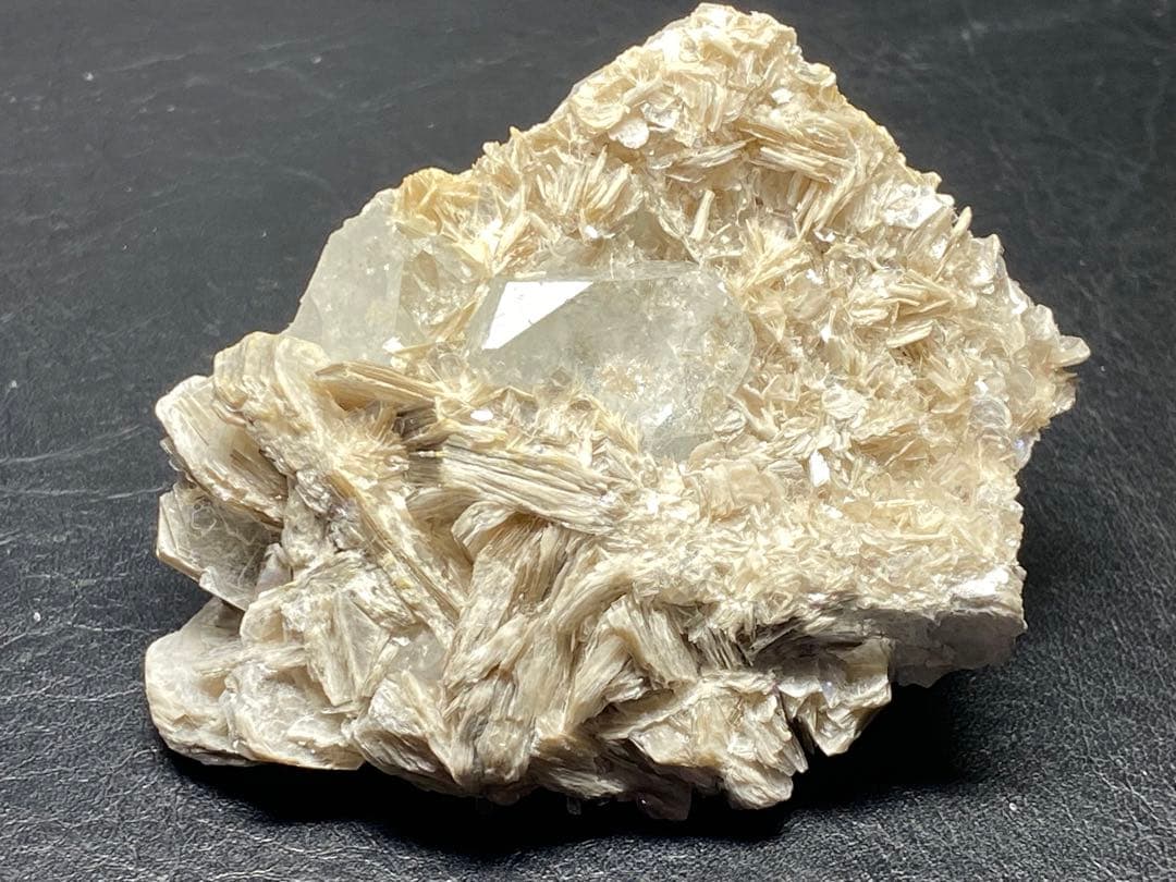 新潟の寺院から出た「堀浄政（堀政五郎）の鎚燈器本物保証