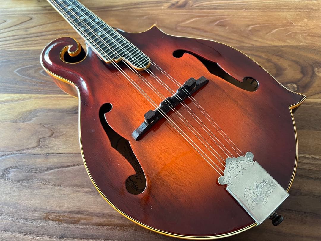 Blue Bell F-15 フラットマンドリン （富士弦）フジゲン ビンテージ