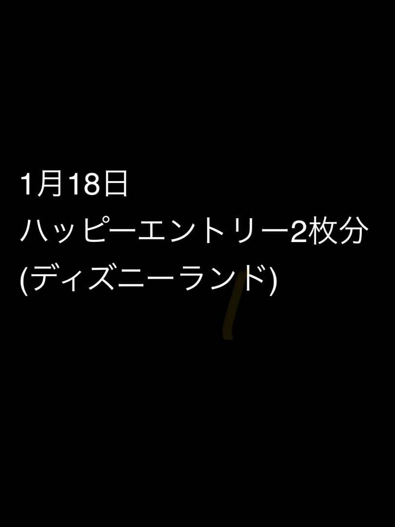 ディズニーランド ハッピーエントリー2枚分 ディズニーランド ハッピーエントリー ハッピー15エントリー 2枚 2月